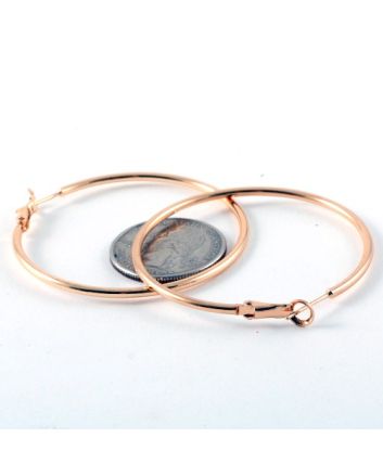 Fashion Hoop Earrings
