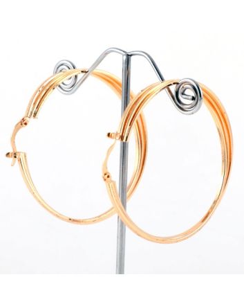 Fashion Hoop Earrings