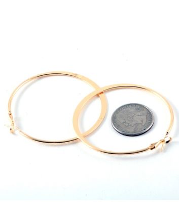 Fashion Hoop Earrings