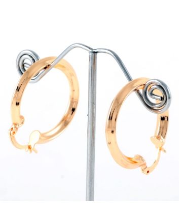 Fashion Hoop Earrings