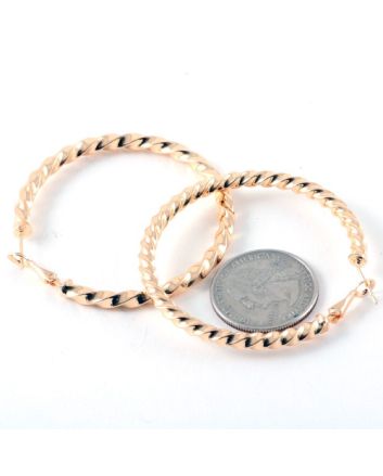 Fashion Hoop Earrings