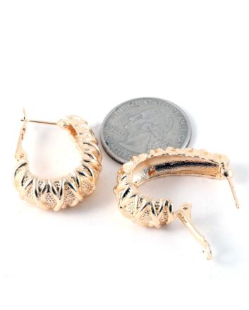 Fashion Hoop Earrings
