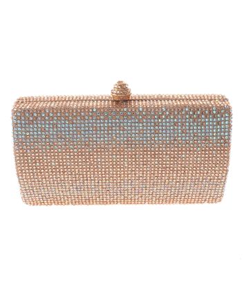 Fashion Evening Clutch Bag