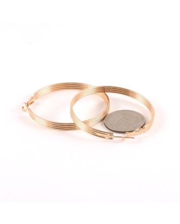 Fashion Hoop Earrings