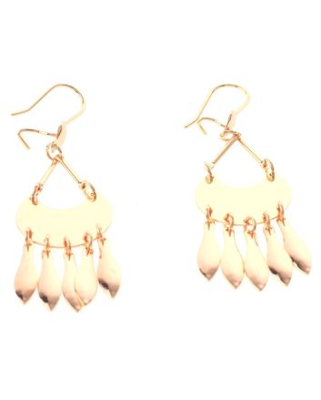 Gold Plated Hook Earrings