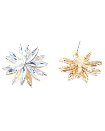 Crystal Post Earrings
