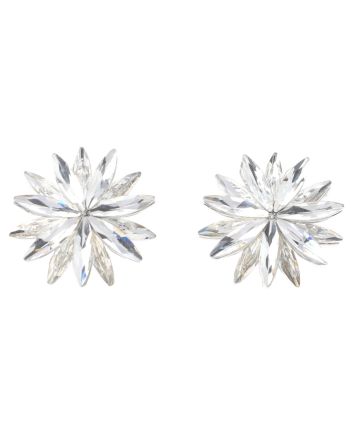 Crystal Post Earrings