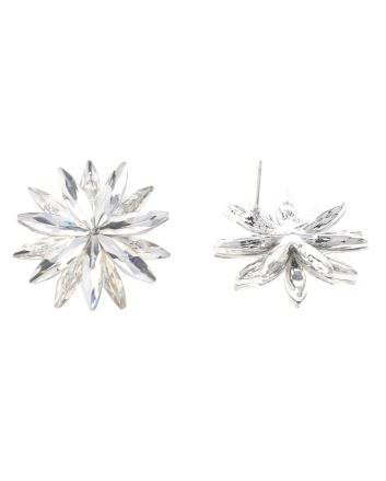 Crystal Post Earrings
