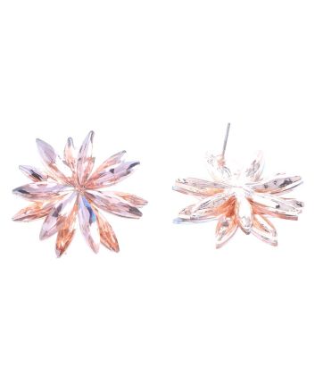 Crystal Post Earrings
