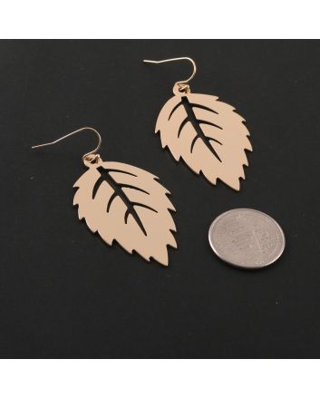 Fashion Hook Earrings