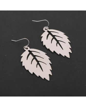 Fashion Hook Earrings