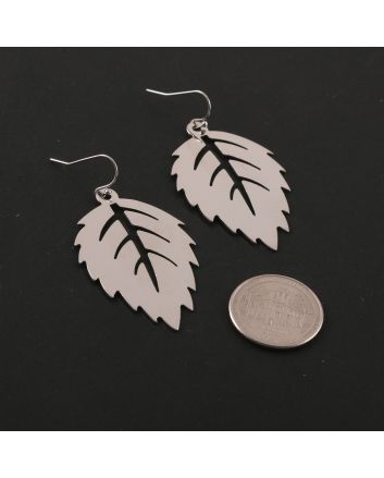 Fashion Hook Earrings