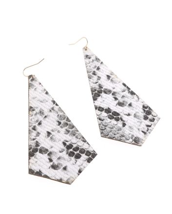 Fashion Hook Earrings