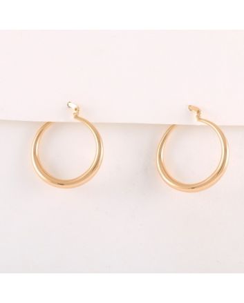 Plated Earrings