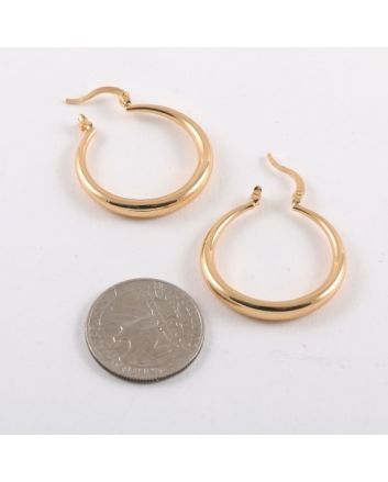 Plated Earrings
