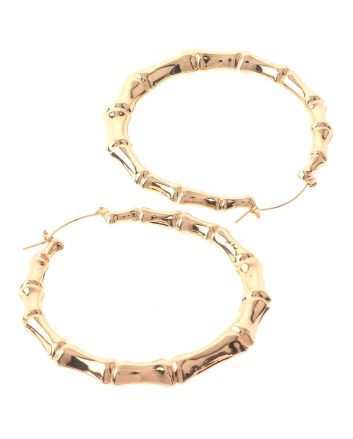 Plated Earrings