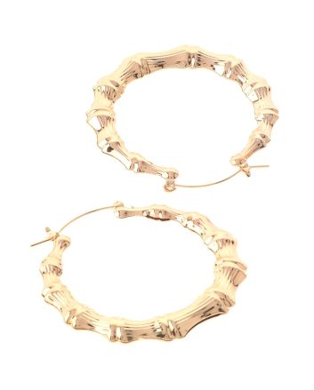 Plated Earrings