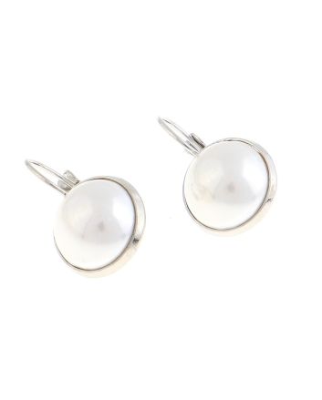 Plated Hook Earrings
