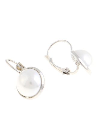 Plated Hook Earrings