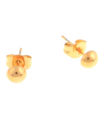 Stainless Steel  Earrings