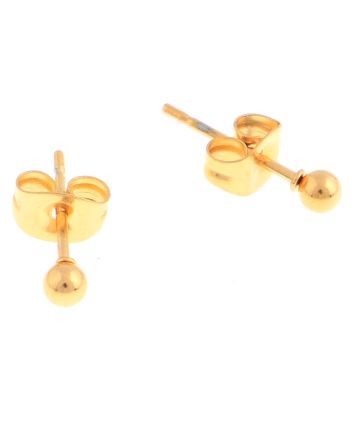 Stainless Steel  Earrings