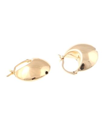 Gold Plated Earrings
