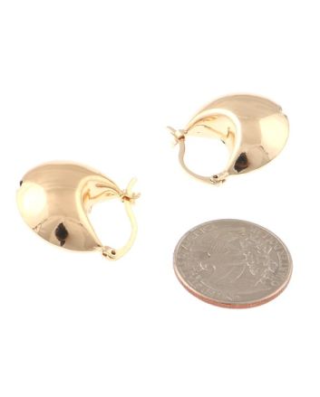Gold Plated Earrings