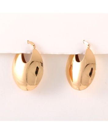 Plated Earrings