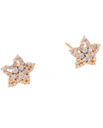 Gold Plated Stud  Earrings
