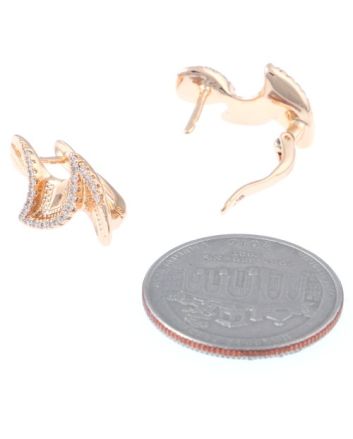 Gold Plated Earrings
