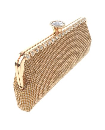 Rhinestones Evening  Bag