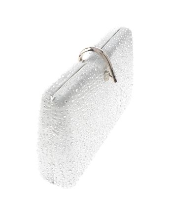 Fashion Evening Clutch Bag