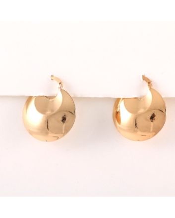 Plated Earrings
