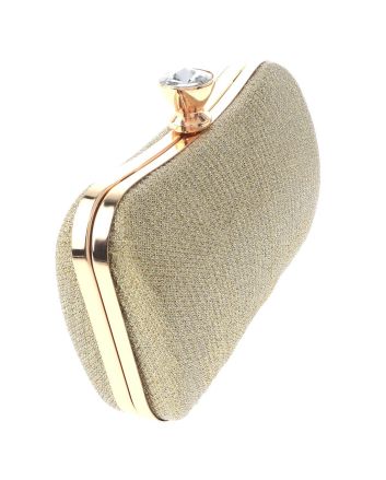 Fashion Evening Clutch Bag