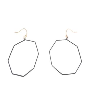 Fashion Hook Earrings
