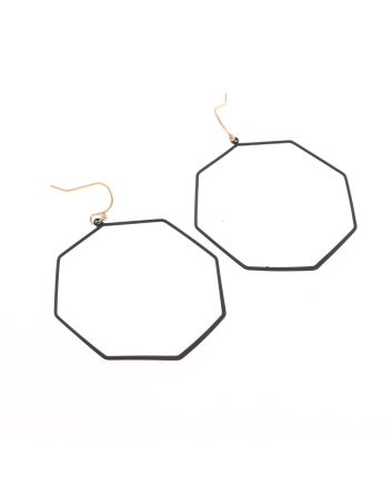 Fashion Hook Earrings