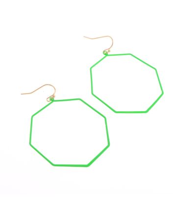 Fashion Hook Earrings