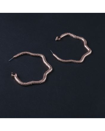 Fashion Hoop Earrings