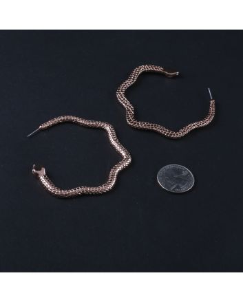 Fashion Hoop Earrings
