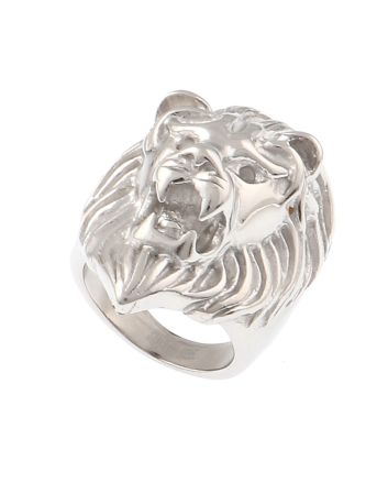 Stainless Steel Ring