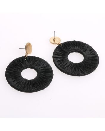 Fashion Post Earrings